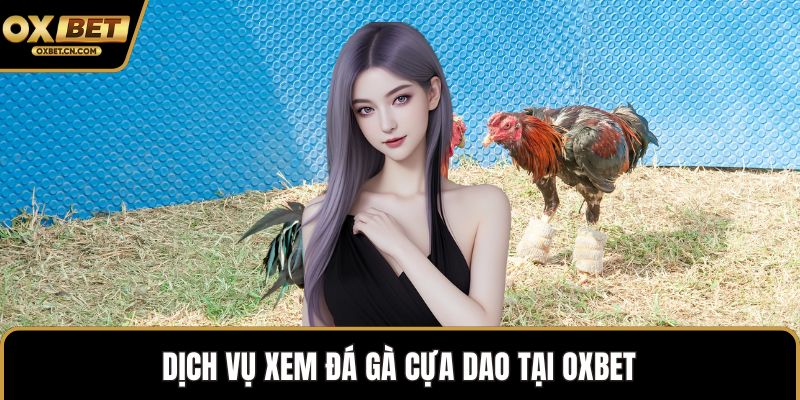 Dịch vụ xem đá gà cựa dao tại OXBET